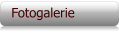 Fotogalerie