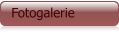 Fotogalerie